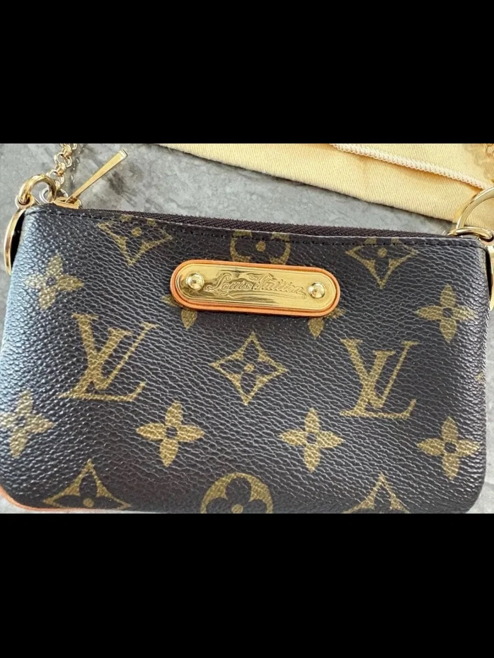 Louis Vuitton Monogram Canvas Mini Pochette - Brown